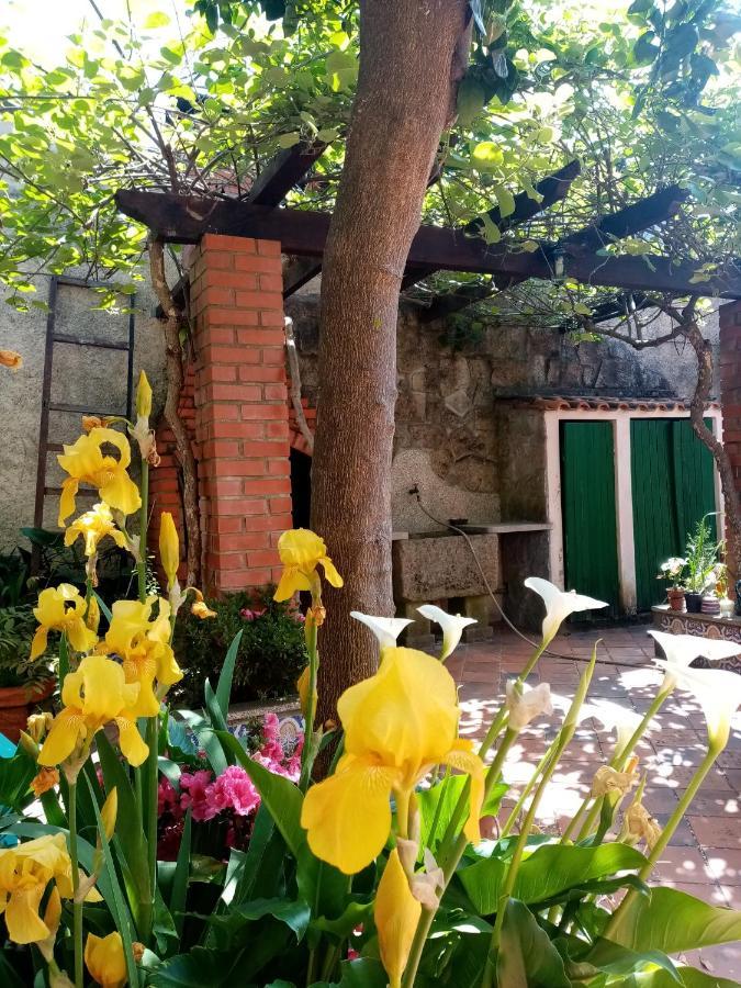 Ferienwohnung Nossa Casa Na Aldeia Viseu Exterior foto